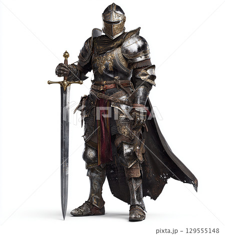騎士道の精神を宿す戦士 129555148