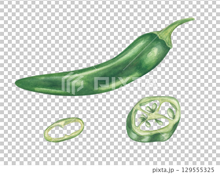 Whole and sliced green chili peppers watercolor illustration set on isolated background. Jalapeno, serrano realistic sketch clip art. Spicy vegetable for food packaging, cookbooks, spice labels. Whole and sliced green chili peppers watercolor illustration set on isolated background. Jalapeno, serrano realistic sketch clip art. Spicy vegetable for food packaging, cookbooks, spice labels. 129555325