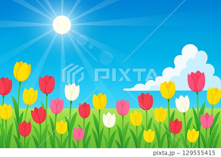 チューリップ　青空 129555415