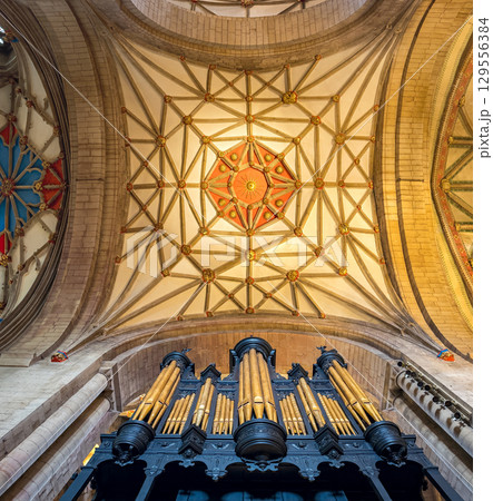 Grand Organ and Stunning Gothic Ceiling 129556384