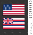 Vector illustration of the American and Hawaiian state flags displayed together as official symbols of patriotism and culture. 129556589