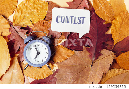 Clock is on top of a pile of leaves with the word Contest written in a speech 129556856