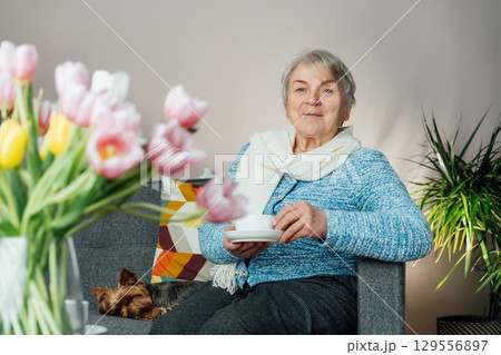 Smiling mature woman with dog pet relaxing at home with cup of tea, positive senior sitting on couch in modern living room looking satisfied feels good, older generation happy retired time enjoy life Smiling mature woman with dog pet relaxing at home with cup of tea, positive senior sitting on couch in modern living room looking satisfied feels good, older generation happy retired time enjoy life 129556897