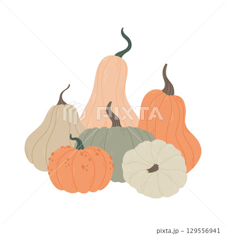 Hand drawn pumpkin. Autumn harvest decorative gourds 129556941