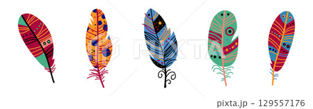 Colorful Fluffy Feather and Plume of Bird Vector Set Colorful Fluffy Feather and Plume of Bird Vector Set 129557176