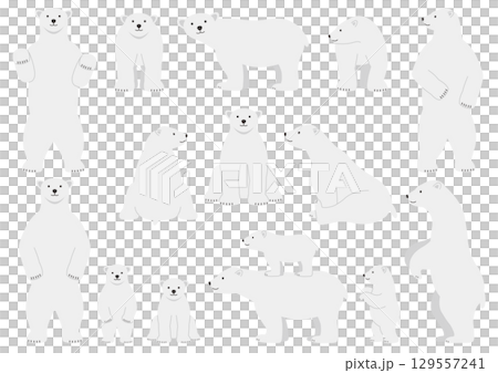 一組各種北極熊插圖 一組各種北極熊插圖 129557241