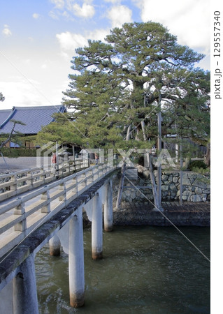 滋賀県琵琶湖 堅田の浮御堂とその風景 滋賀県琵琶湖 堅田の浮御堂とその風景 129557340