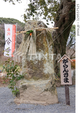 福岡県太宰府 令和の元号ゆかりの坂本八幡宮 福岡県太宰府 令和の元号ゆかりの坂本八幡宮 129557525