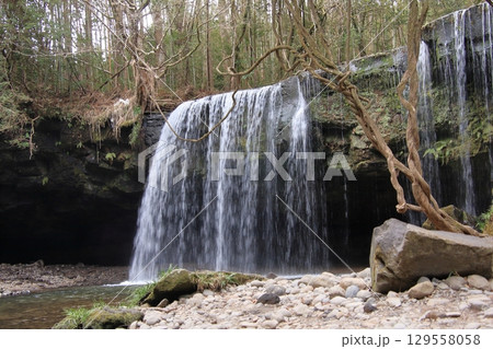 熊本県阿蘇の名滝 鍋ヶ滝 熊本県阿蘇の名滝 鍋ヶ滝 129558058