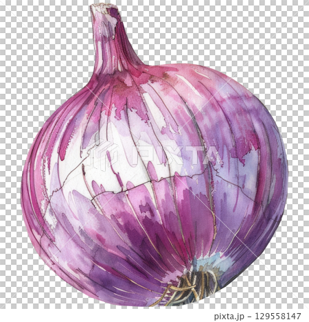 Organic purple onion in watercolor style, capturing its spherical form and translucent layers. Clean white background isolated for versatile design applications 129558147