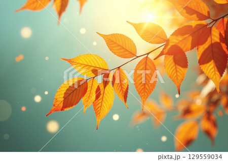 Yellow leaves on a branch with blurred background and sun rays. 129559034