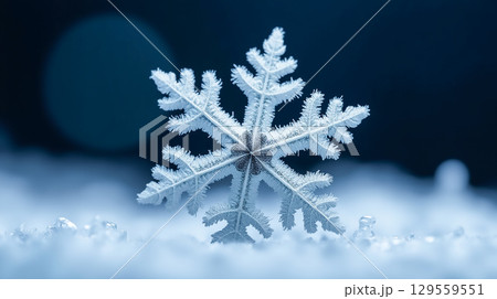 Delicate snowflake resting on a glistening surface during winter's embrace 129559551