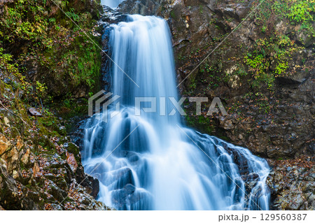 山形 白布大滝　 129560387