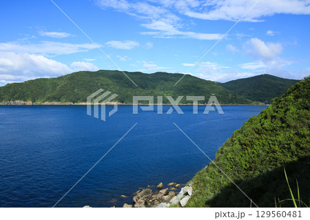 愛媛県伊方町　番匠鼻 129560481