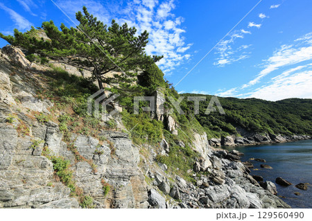 愛媛県伊方町　番匠鼻 129560490