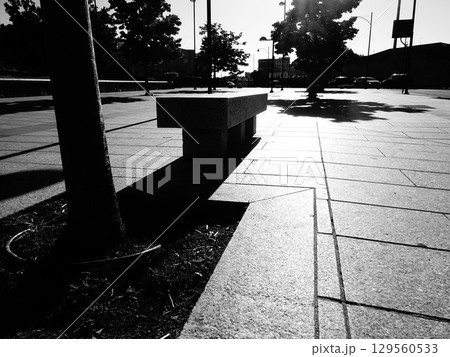 benches in the park benches in the park 129560533