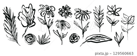 Set of hand drawing black ink flowers, leaves and grass. Sketch distressed brush stroke textured floral blossoms and botanical elements for pattern design, greeting card, logo, sticker 129560663