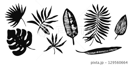 Set of vector black ink hand drawing tropic leaves, exotic plants, ferns. Trendy sketch set of floral monstera, palm, banana leaf silhouettes for textile pattern design, greeting card, logo, banner 129560664