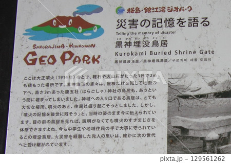 鹿児島県　桜島と大噴火の遺構　黒神埋没鳥居 129561262