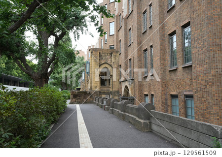 東京大学 本郷キャンパス 東京大学 本郷キャンパス 129561509