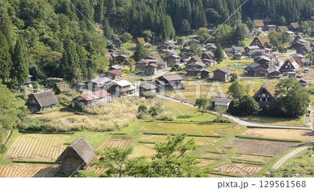 城跡展望台から見た初秋の白川郷 129561568