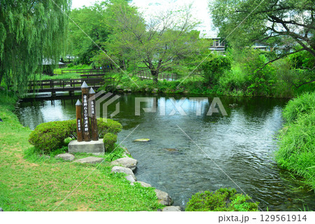 安曇野わさび田湧水群 安曇野わさび田湧水群 129561914
