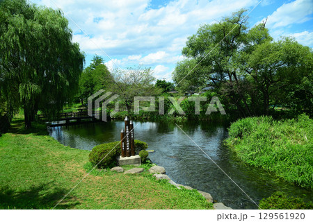 安曇野わさび田湧水群 安曇野わさび田湧水群 129561920