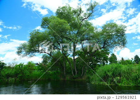 安曇野わさび田湧水群 129561921