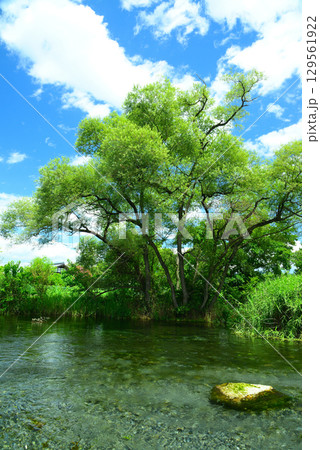 安曇野わさび田湧水群 129561922