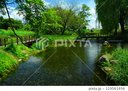 安曇野わさび田湧水群 129561936