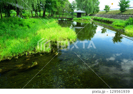 安曇野わさび田湧水群 安曇野わさび田湧水群 129561939