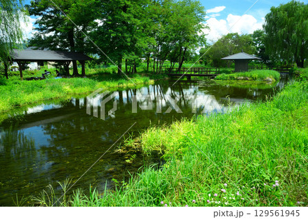 安曇野わさび田湧水群 129561945