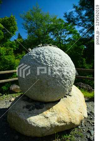 安曇野の大王わさび農場 安曇野の大王わさび農場 129562019