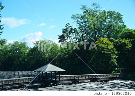 安曇野の大王わさび農場 安曇野の大王わさび農場 129562030