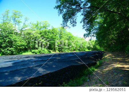 安曇野の大王わさび農場 129562051