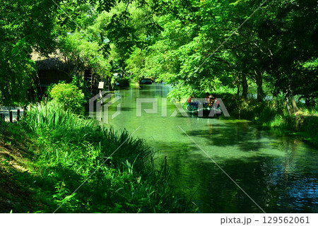 安曇野の大王わさび農場 129562061