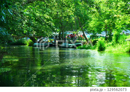 安曇野の大王わさび農場 安曇野の大王わさび農場 129562073