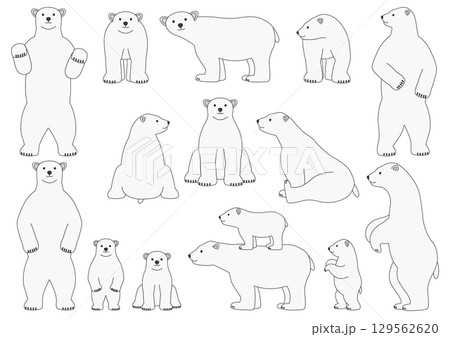 色々な白熊のイラストのセット_主線あり 色々な白熊のイラストのセット_主線あり 129562620