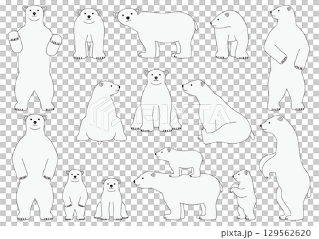 色々な白熊のイラストのセット_主線あり 色々な白熊のイラストのセット_主線あり 129562620