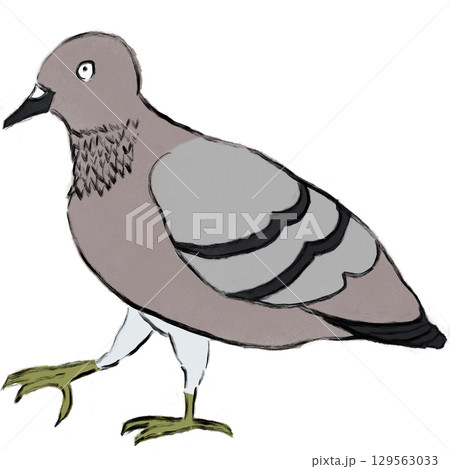 やさしいタッチの鳩のイラスト(PNG) やさしいタッチの鳩のイラスト(PNG) 129563033