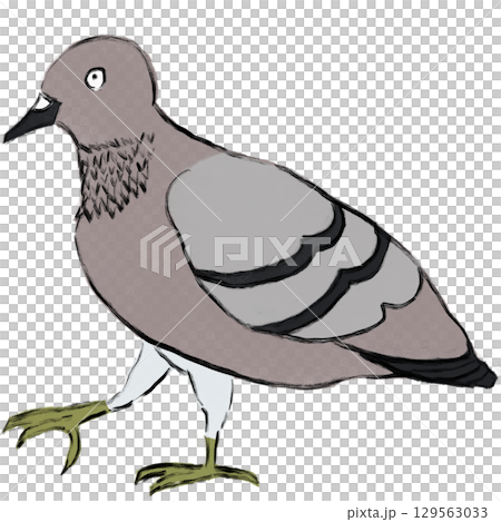 やさしいタッチの鳩のイラスト(PNG) やさしいタッチの鳩のイラスト(PNG) 129563033