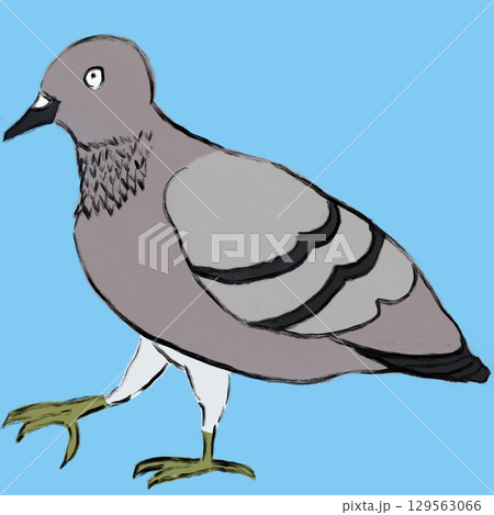やさしいタッチの鳩のイラスト-高解像度 やさしいタッチの鳩のイラスト-高解像度 129563066