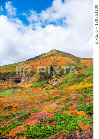 秋の栗駒山登山(東栗駒山から栗駒山の眺め) 秋の栗駒山登山(東栗駒山から栗駒山の眺め) 129563109