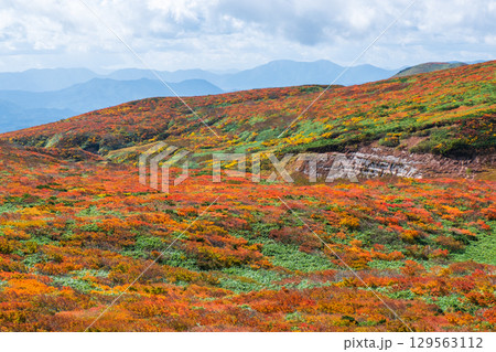 秋の栗駒山登山(神の絨毯) 秋の栗駒山登山(神の絨毯) 129563112