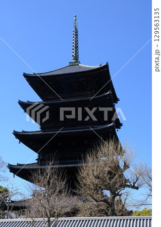 東寺と五重塔のある風景 東寺と五重塔のある風景 129563135