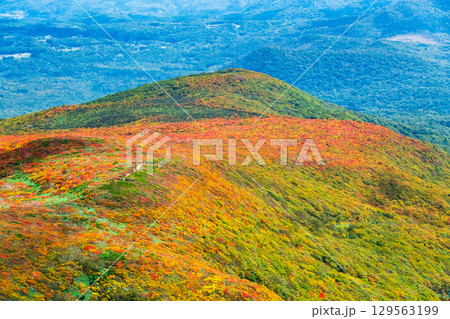 秋の栗駒山登山(栗駒山山頂から望む神の絨毯) 秋の栗駒山登山(栗駒山山頂から望む神の絨毯) 129563199