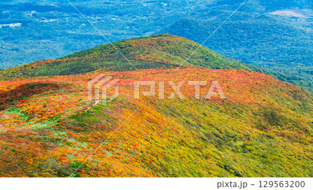 秋の栗駒山登山（栗駒山山頂から望む神の絨毯） 129563200