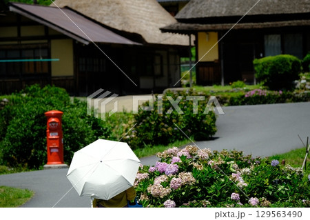 盛夏の美山の里 129563490