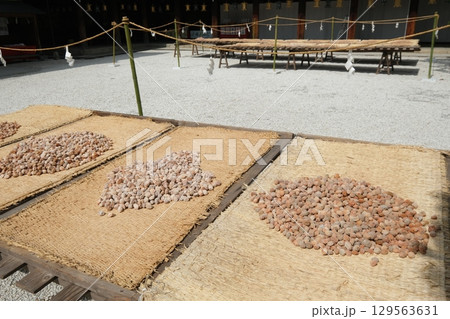 北野天満宮の梅の天日干し 北野天満宮の梅の天日干し 129563631