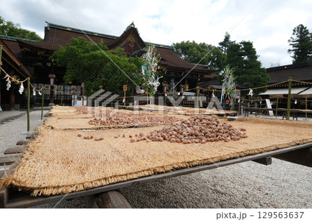 北野天満宮の梅の天日干し 129563637